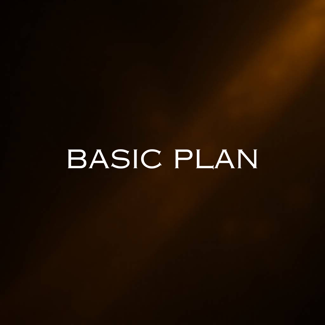 Basic Plan